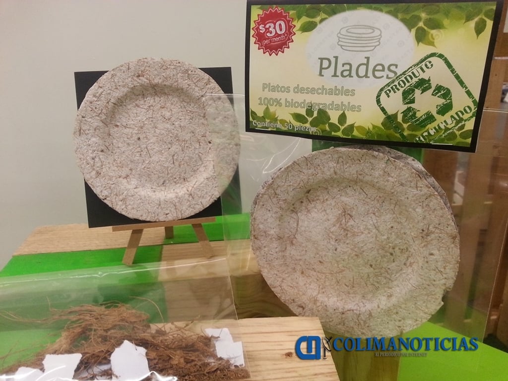 Vasos Desechables Platos Desechables Biodegradables De Caña De