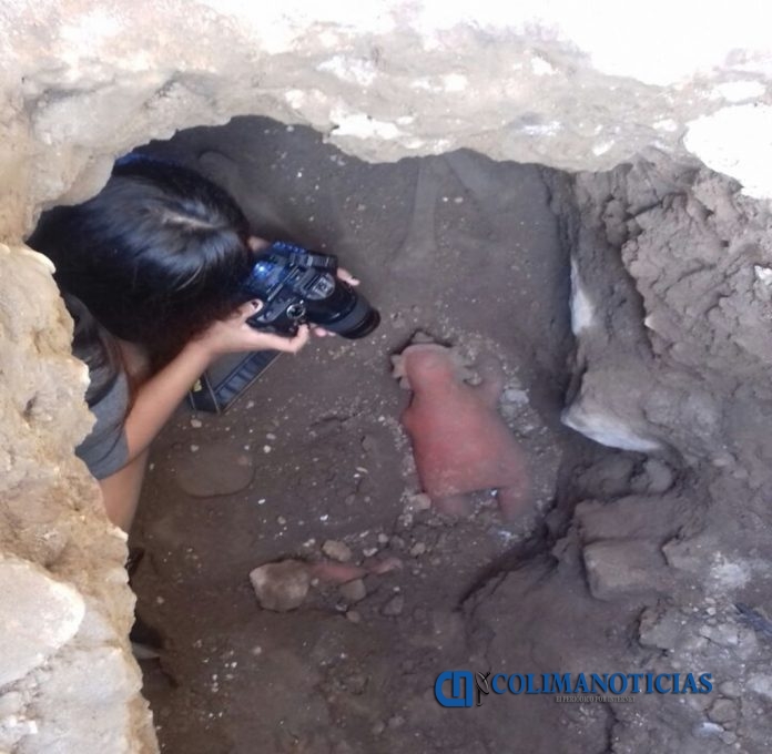 Encuentran tumba de tiro en el centro de Colima Colima Noticias