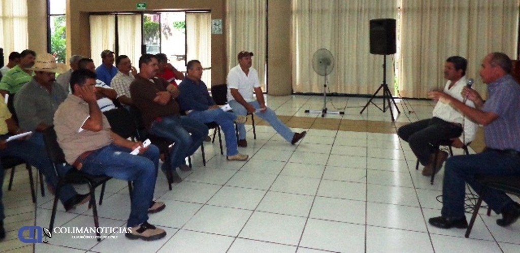 AYUNTAMIENTO DE ARMERIA Y FIRCO