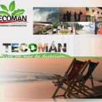 banner TECOMAN 2013