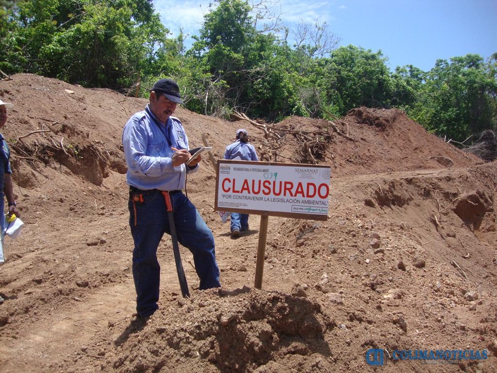 CN MINERAL 1