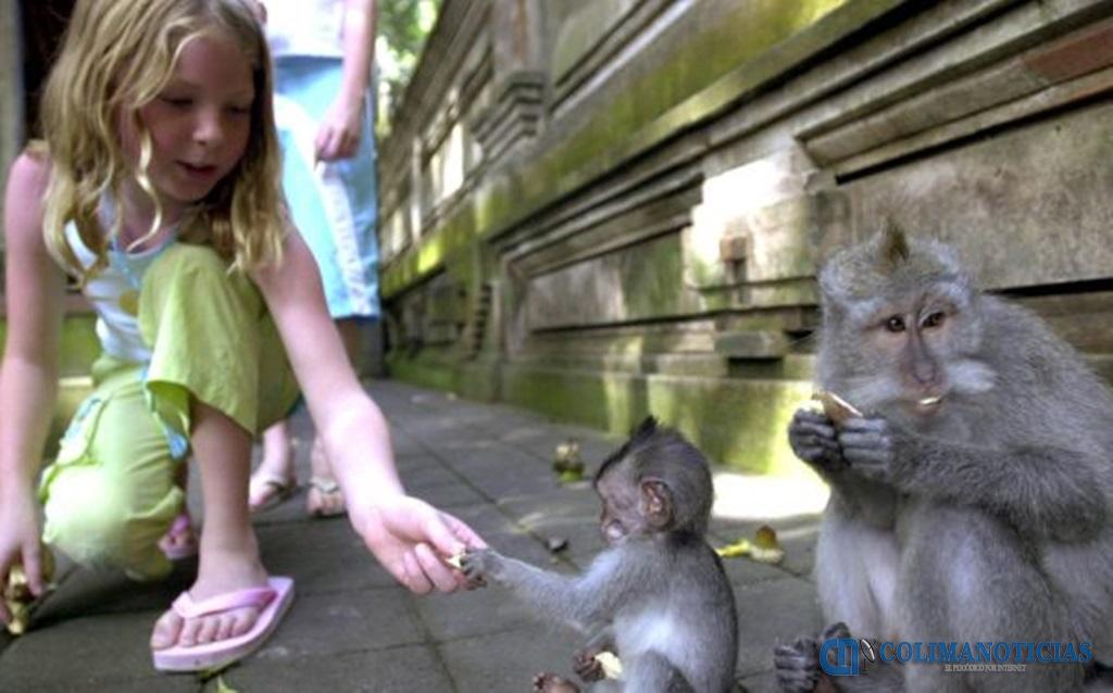 nina y animales