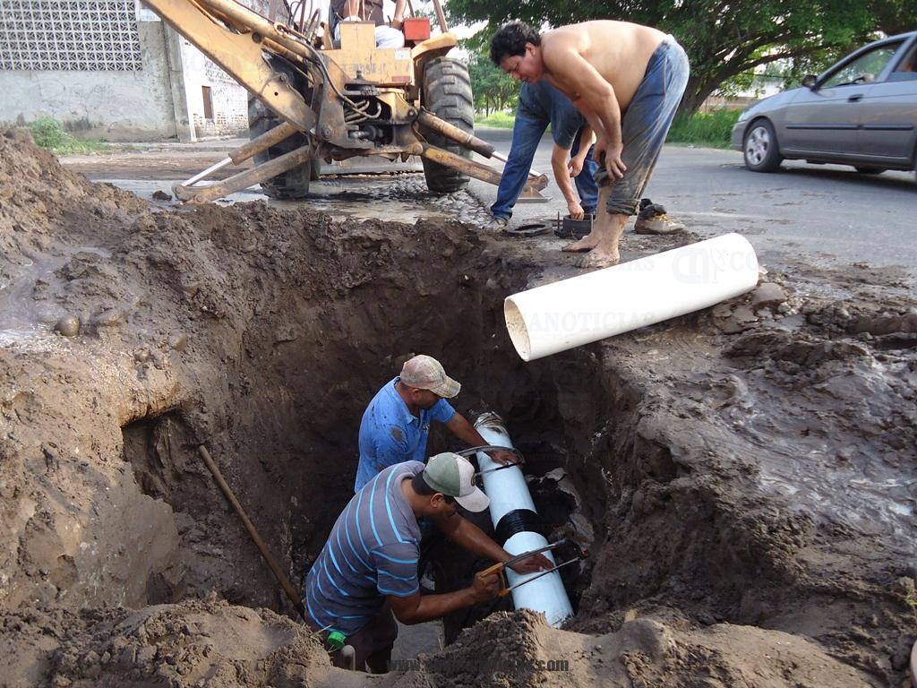 FIGA DE AGUA