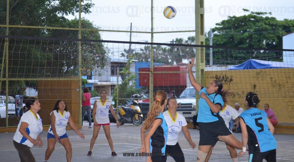 volei 20092013
