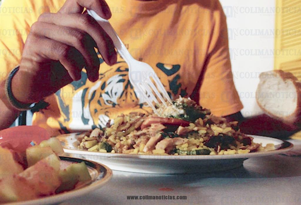 alimentacion
