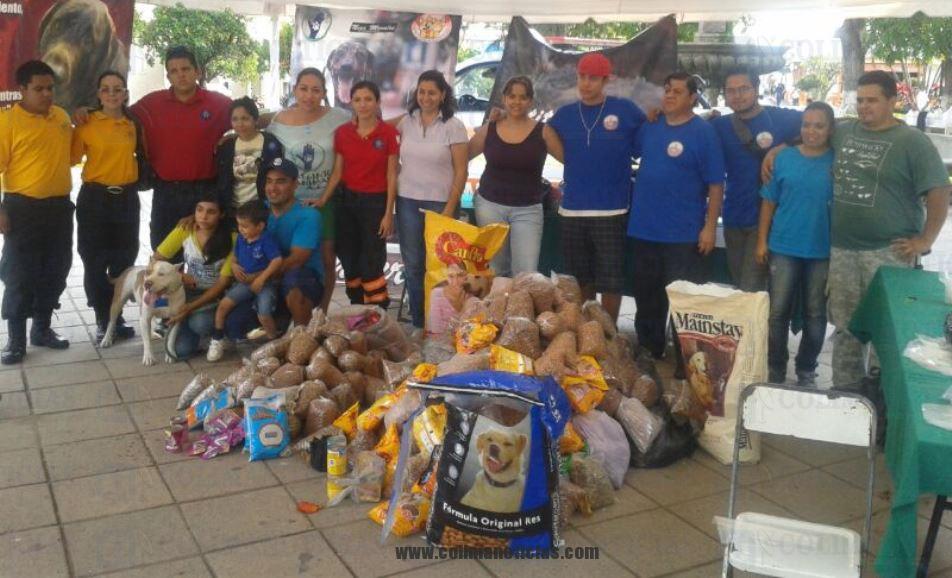 alimento animales