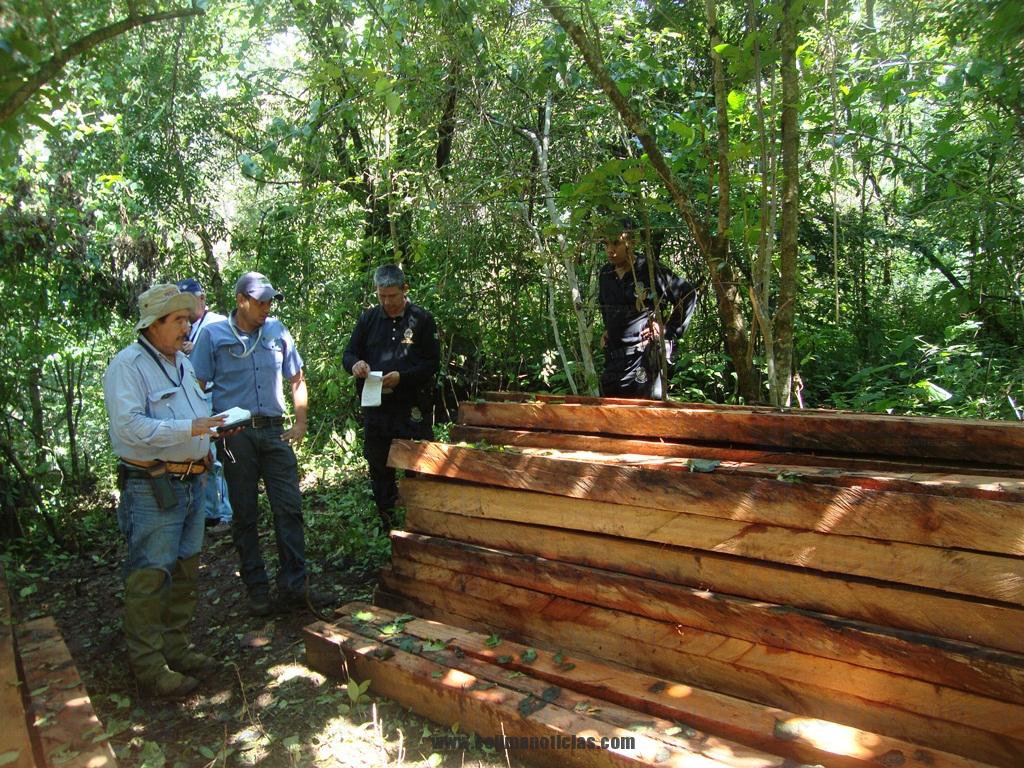especies forestales en Minatitlán