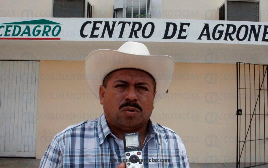 limoneros Tecomán Guadalupe García
