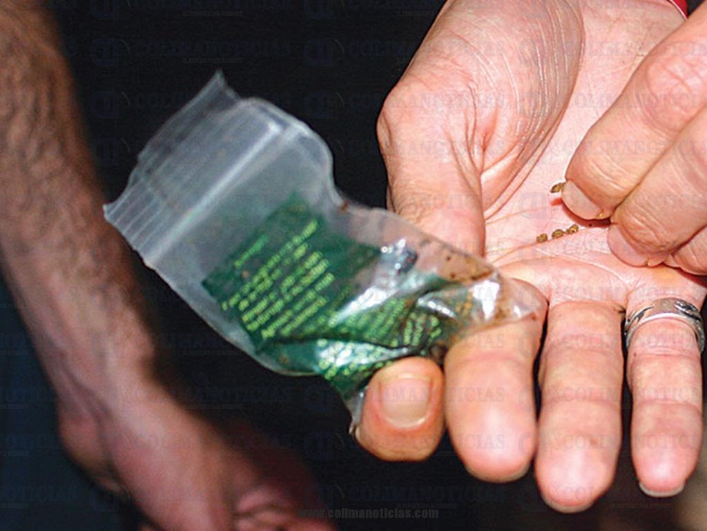 marihuana_uruguay