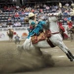 0126.NOV2013_NACIONAL CHARRO DE TEPIC_ROSA DE ORO punta