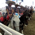 0133.NOV2013_NACIONAL CHARRO DE TEPIC_AMAZONA HIDALGUENSE
