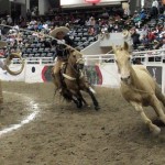 0247.NOV2013_NACIONAL CHARRO DE TEPIC_PESTAÑAS FINAL