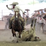 0272.NOV2013_NACIONAL CHARRO DE TEPIC_BROCHAS