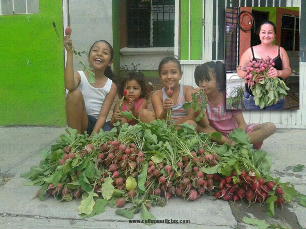 huertos en casa