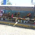 venta flores panteon