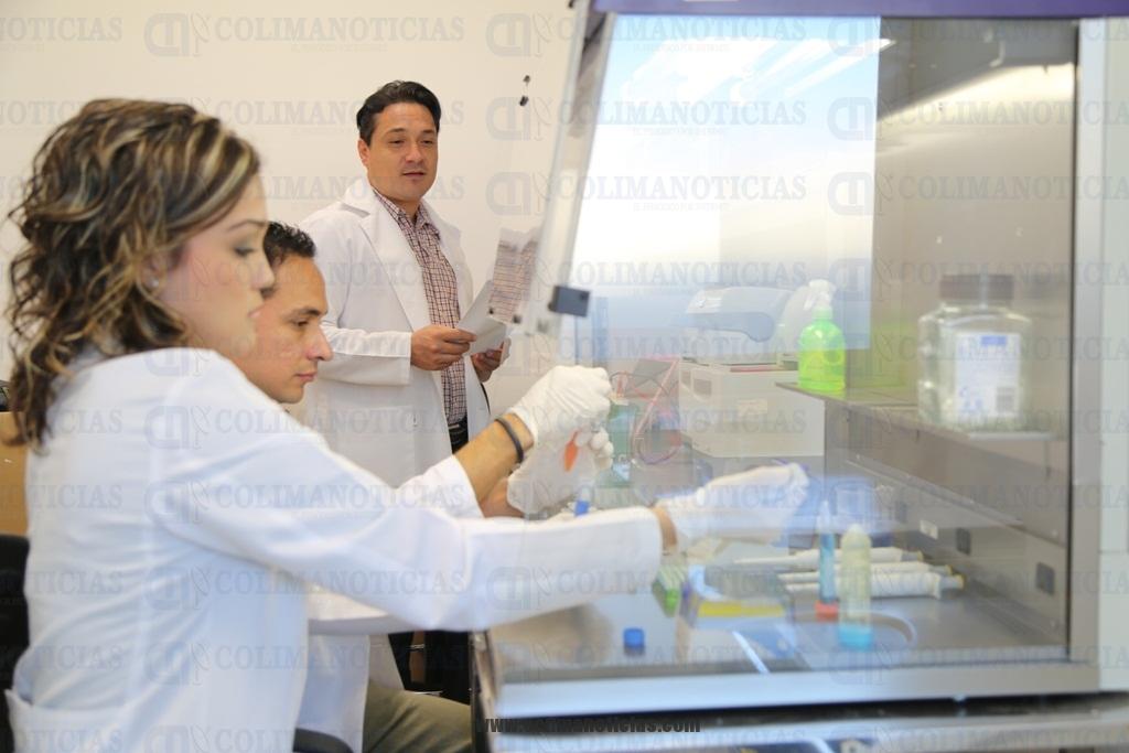 Terapia investigacion