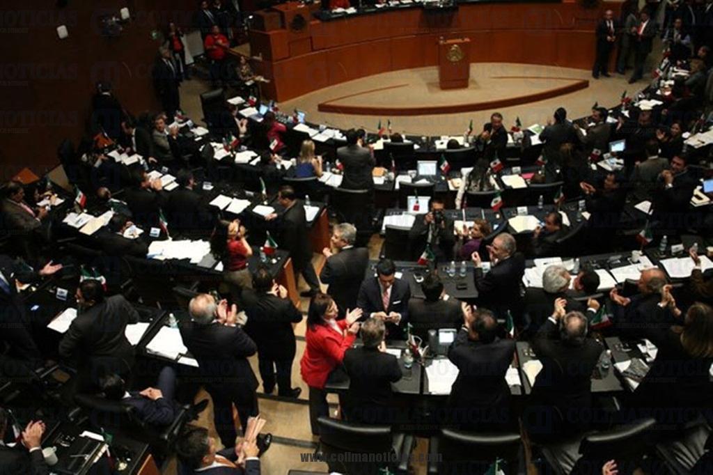 senado 11