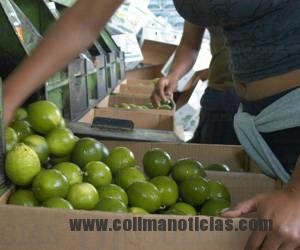 limoneros