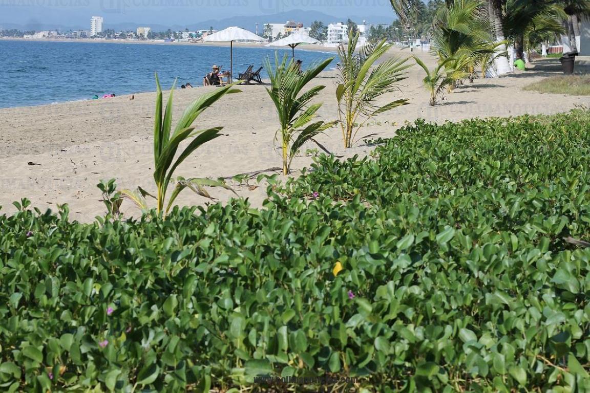playa mzo 21 ene(Medium)