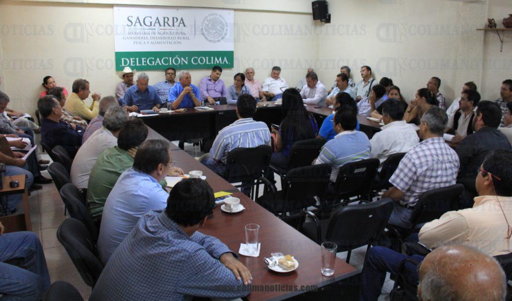 sagarpa 1