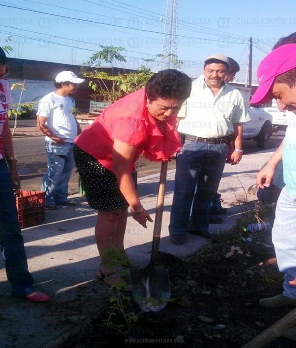 ARMERÍA VERDE (Medium)