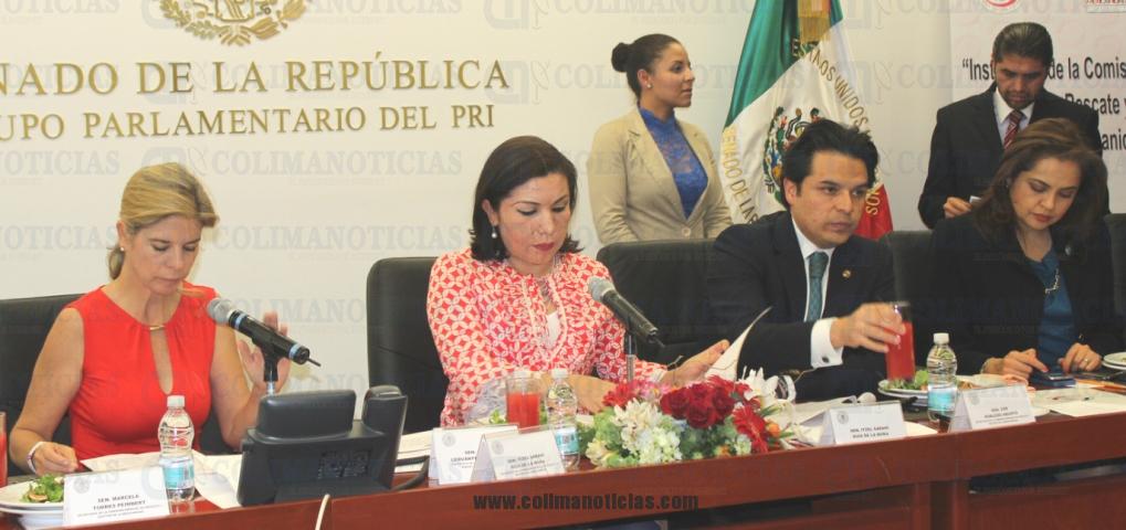 ITZEL RIOS COMISION
