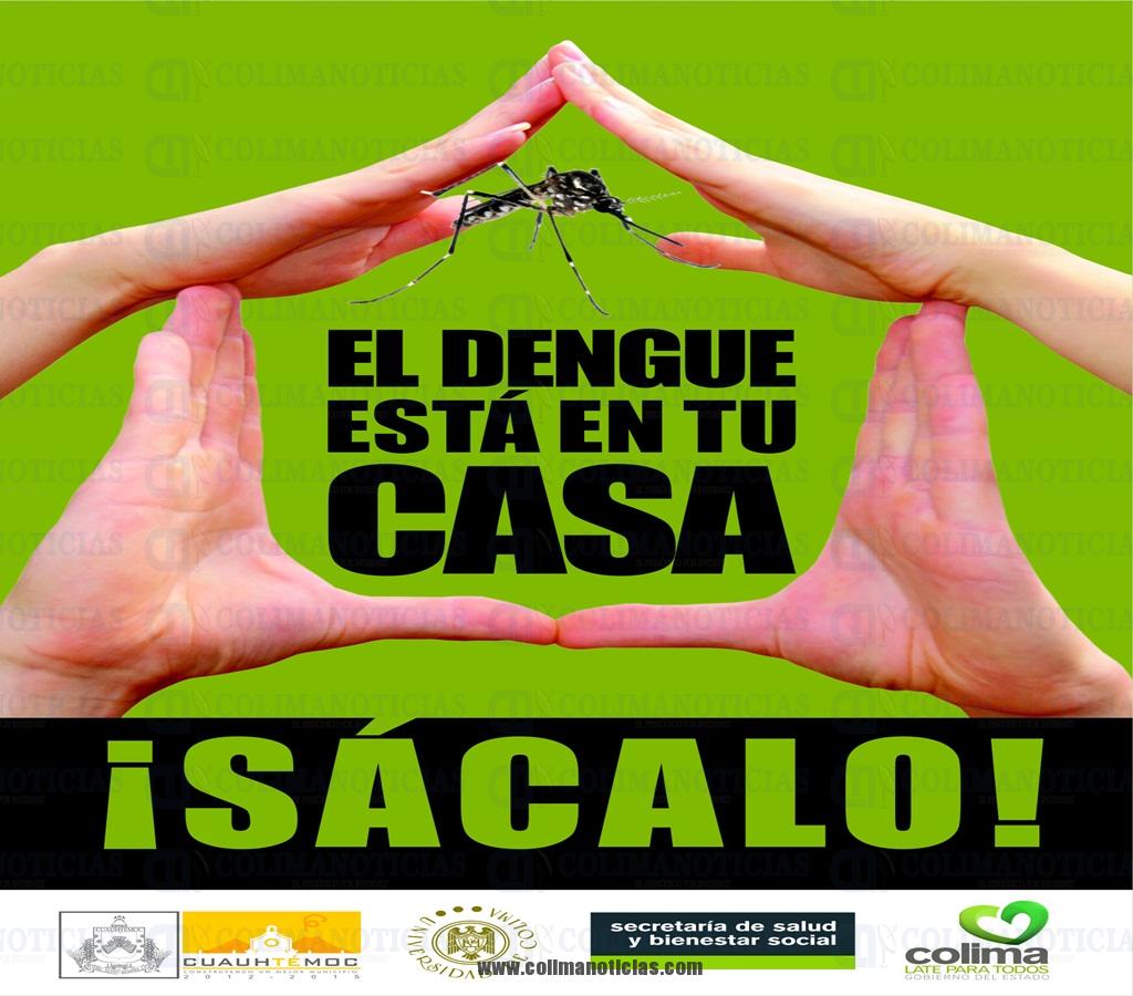dengue descacharrizacion