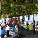 feria suchitlan
