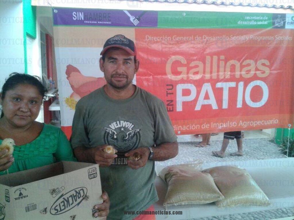Arrancó en Tecomán el programa: “Gallinas en tu Patio” | Colima Noticias