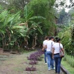 Extra_Chicos de Peraj Manzanillo visitan Colima_b (Medium)