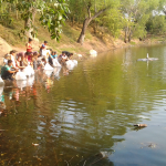 PARQUE TOPOCHARCO