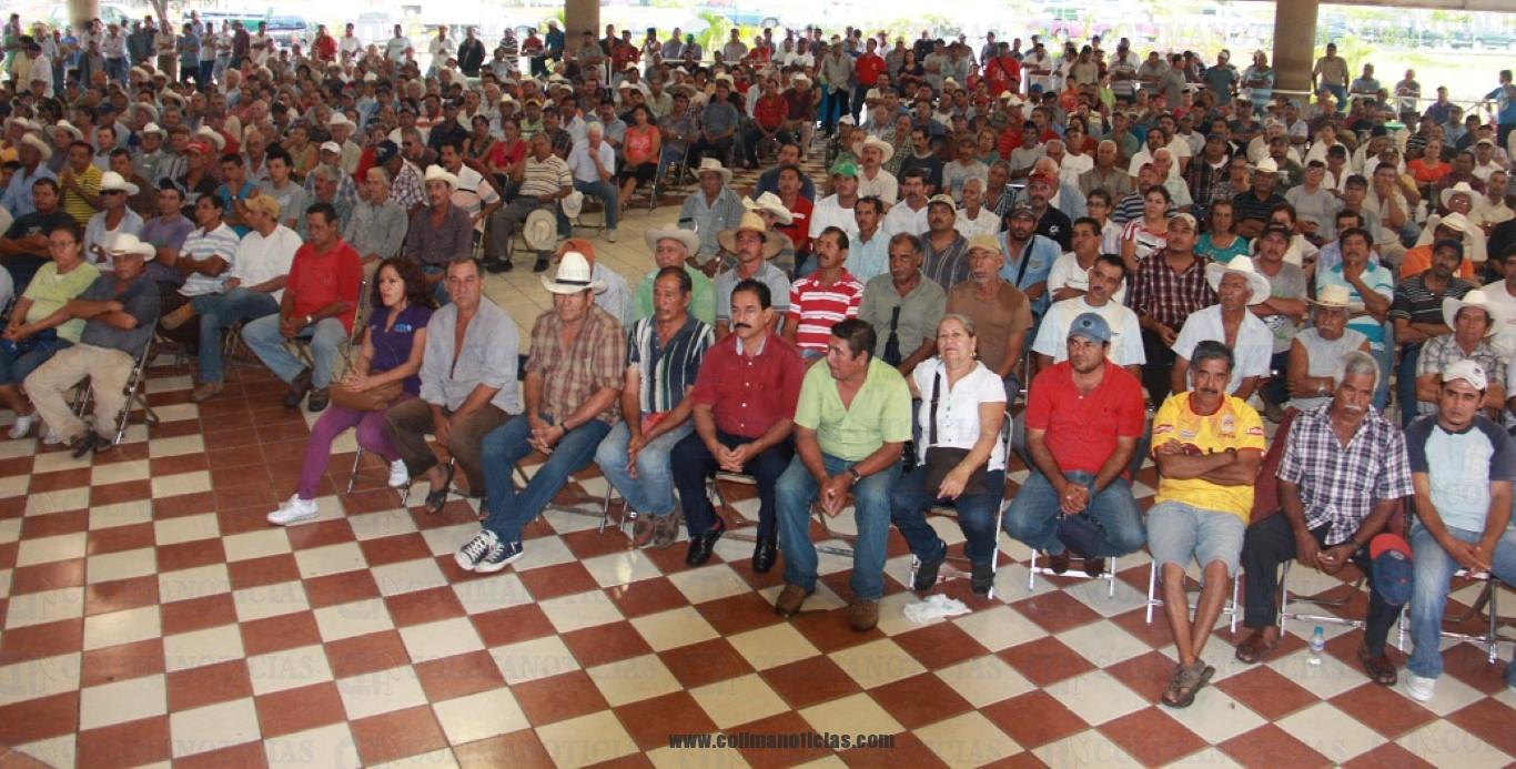 apoyo a limoneros