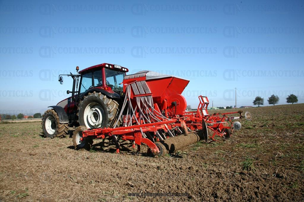 CAMPO 17 jun
