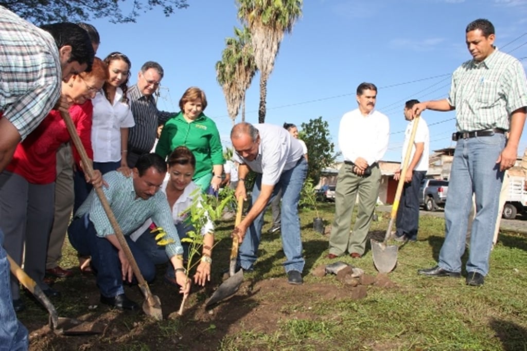 Colima plantará más de 12 mil árboles