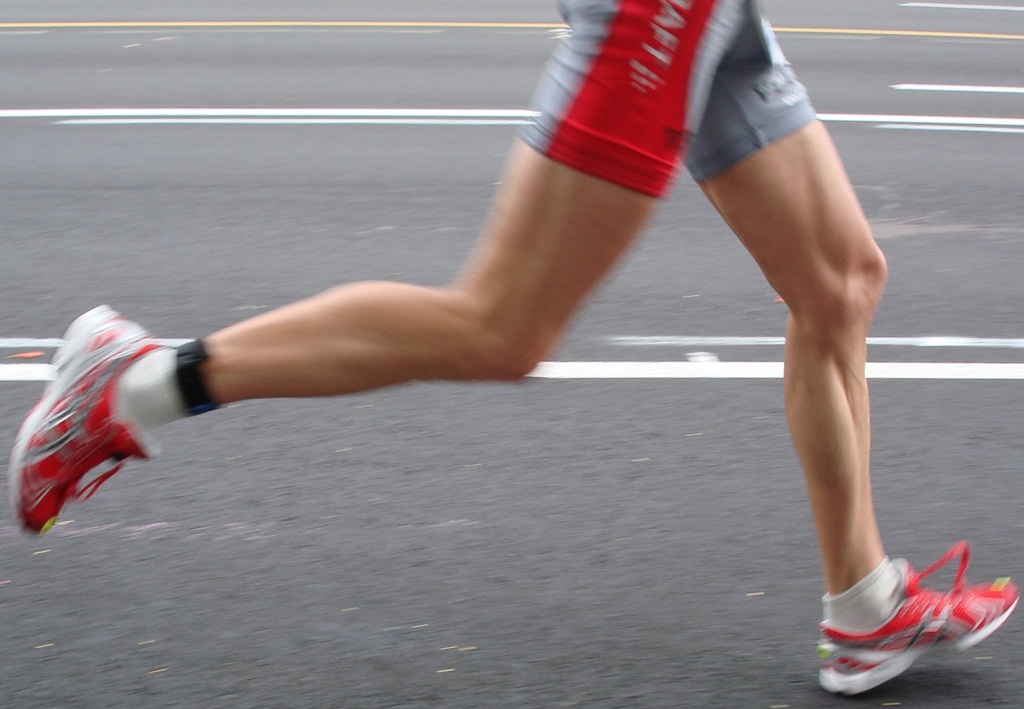 carrera