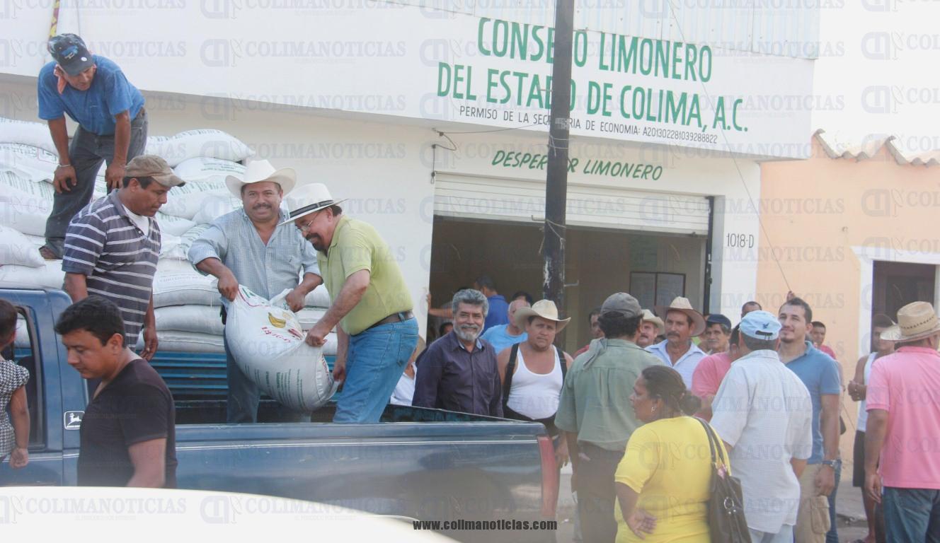 consejo limonero (Medium)
