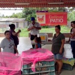 gallinas patio