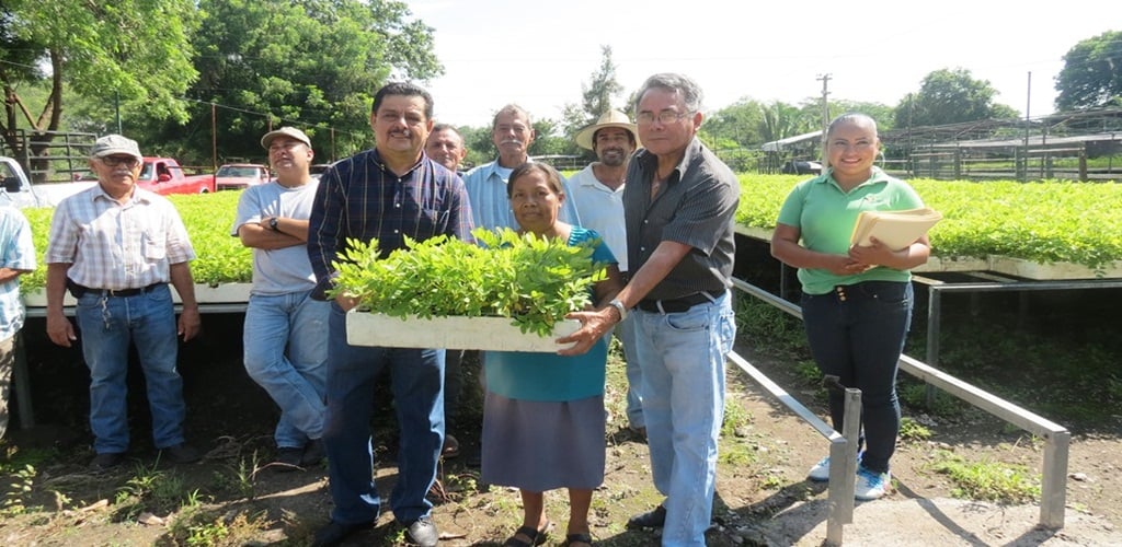 Entrega de planta 03