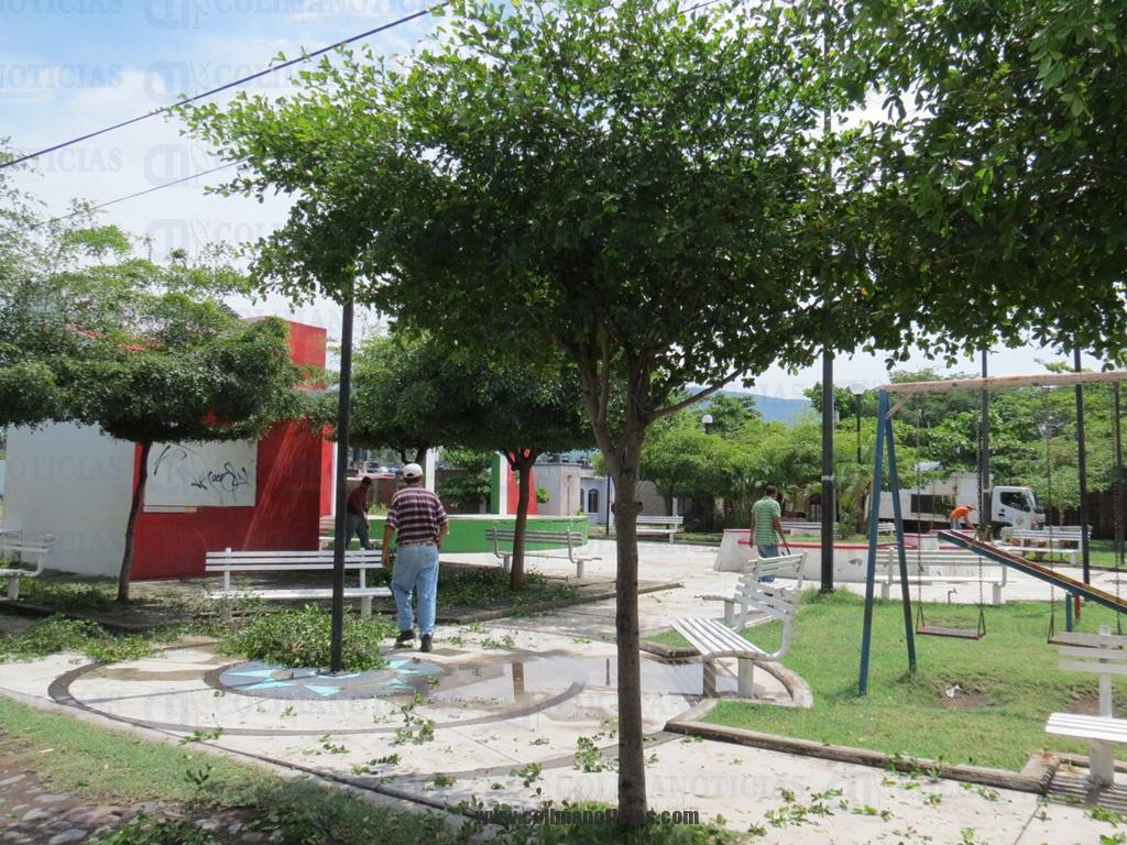jardin tecoman