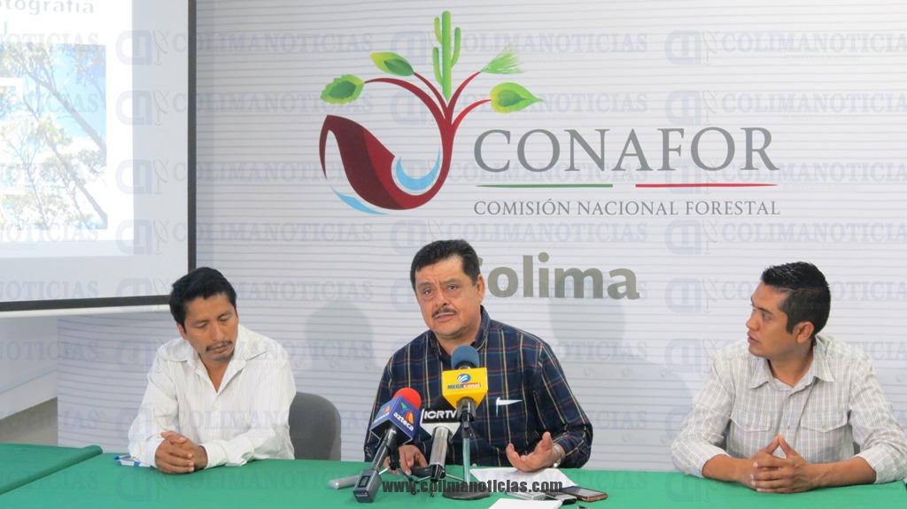 CONAFOR