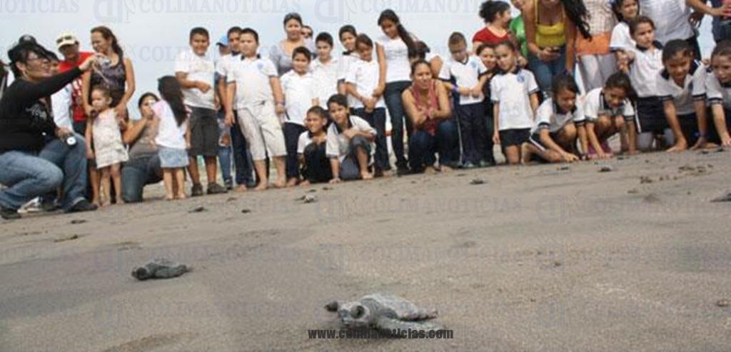 liberacion TORTUGAS