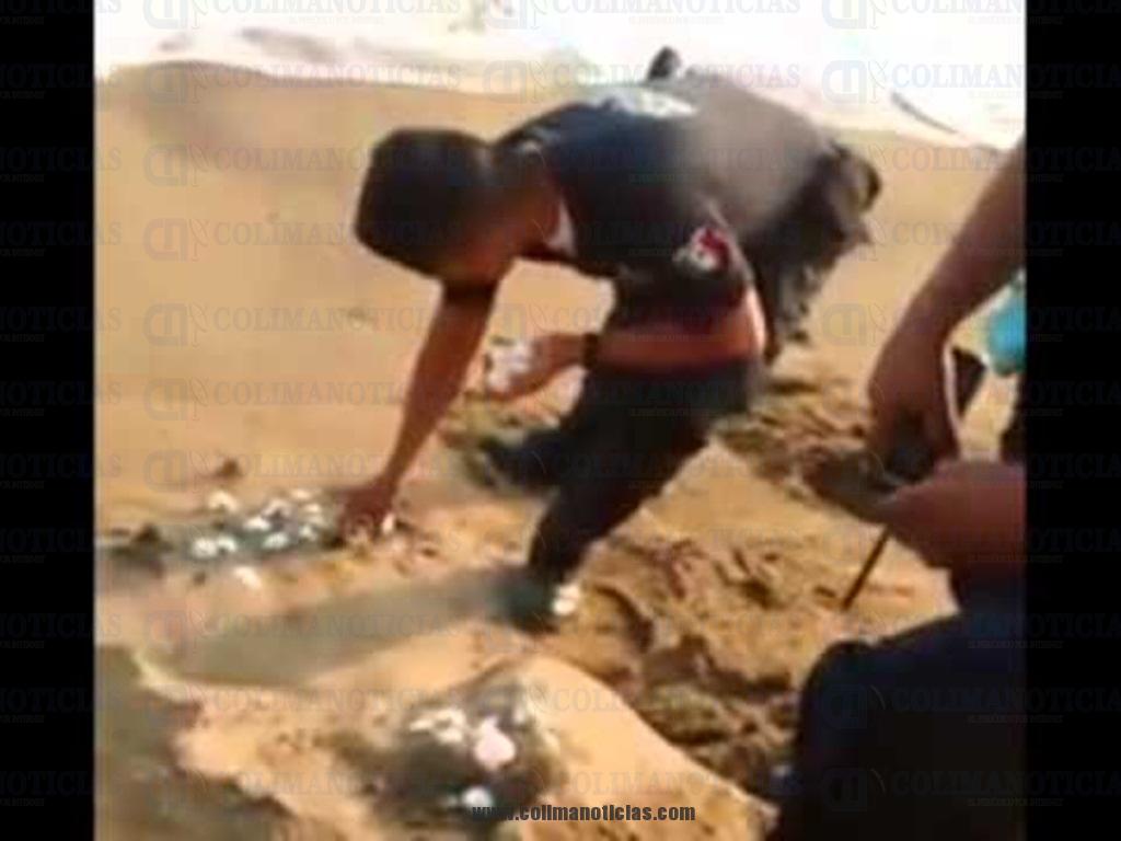 policias desenterrando huevos de tortuga