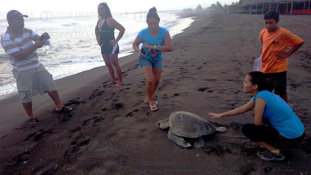 tortugas en tecoman personas