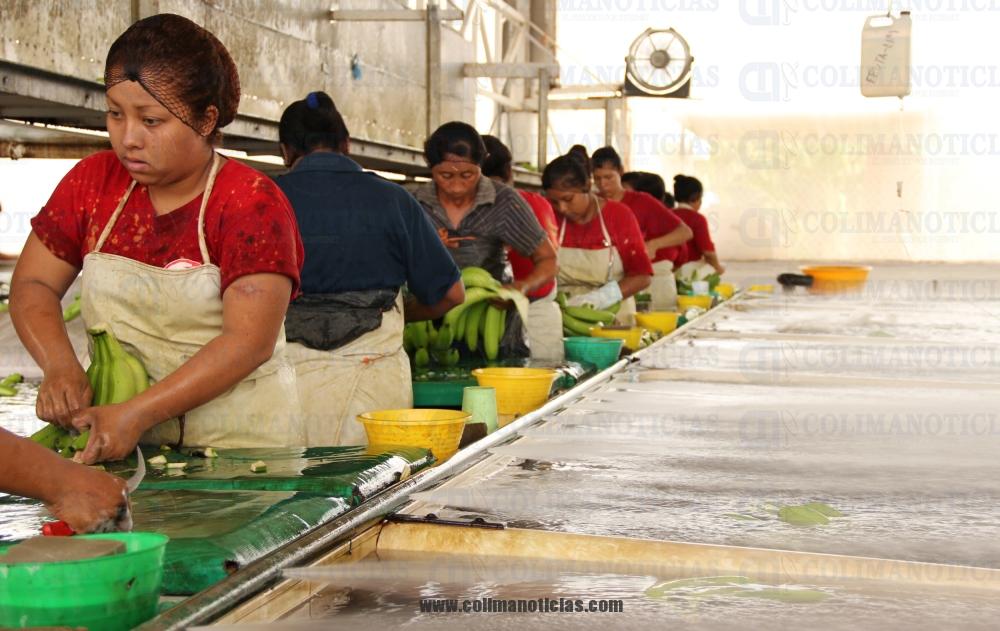 SAGARPA MUJERES RURALES