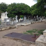 panteon colima archivo