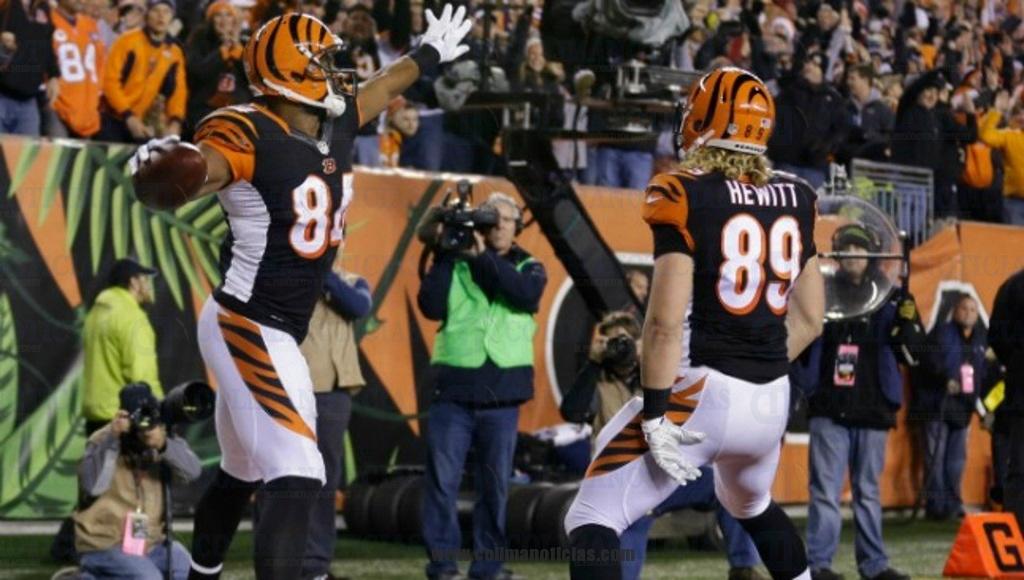 0084.DIC2014_NFL_Jermaine Gresham_Bengalíes Cincinati