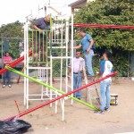 colonia embellecimiento jardin