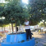 Mejora Gobierno del Estado jardín del Barrio 3 en el Valle de Las Garzas