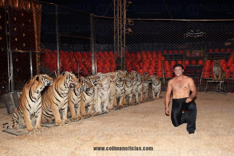 circo 3
