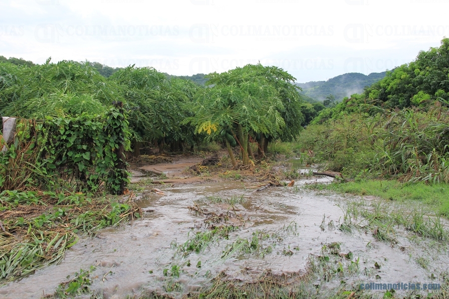 Colima es declarado como Zona de Desastre